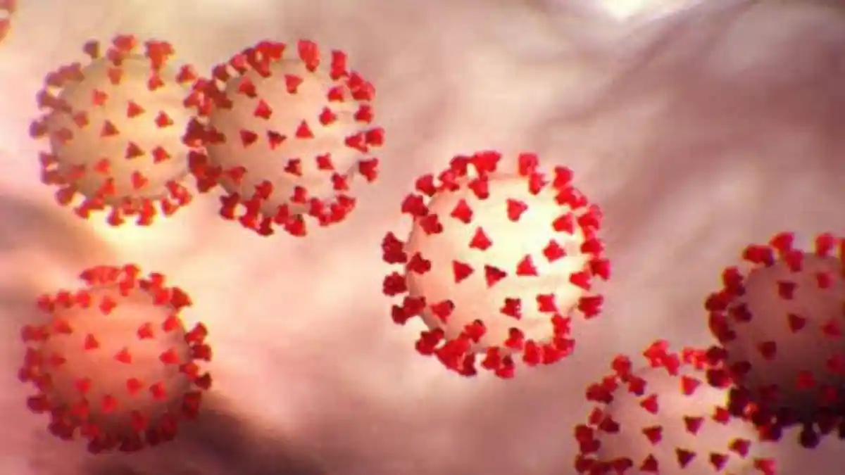 TEGAS, WNA Dilarang Masuk Indonesia, Virus Corona Sudah Ada Varian Baru Sudah Menyebar di 13 Negara