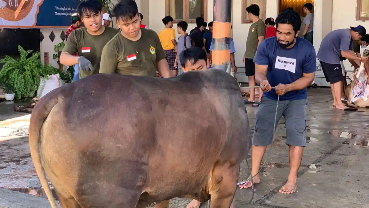 Turut Tingkatkan Perekonomian, Kurban Warga LDII Sulteng Capai Rp4,5 Miliar