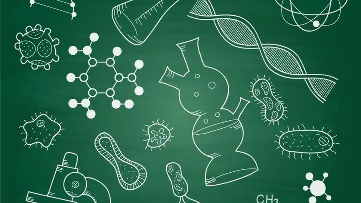 Kunci Jawaban 15 Soal Pilihan Ganda Biologi Kelas 12 SMA Semester Genap Kurikulum Merdeka
