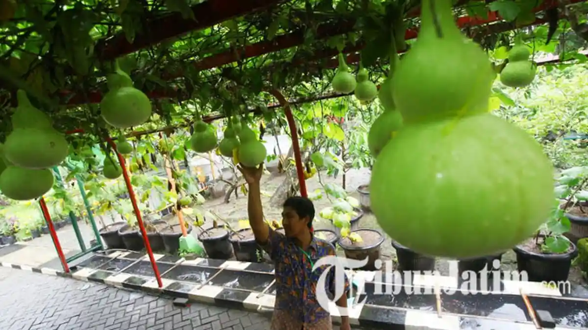 Pemkot Surabaya Bakal Tambah Tanaman Langka di Mini Agrowisata Surabaya