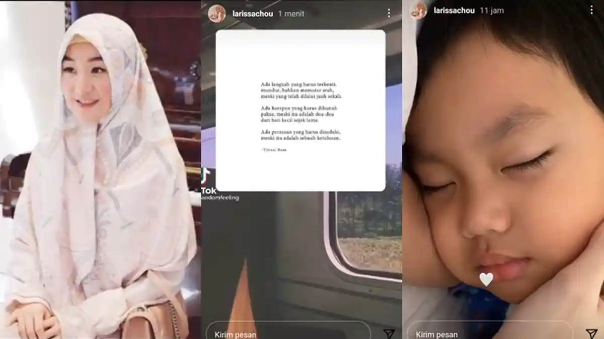 Kabar Perceraian dengan Alvin Faiz, Instagram Story Larissa Chou Jadi Alasan Perpisahan Mereka?