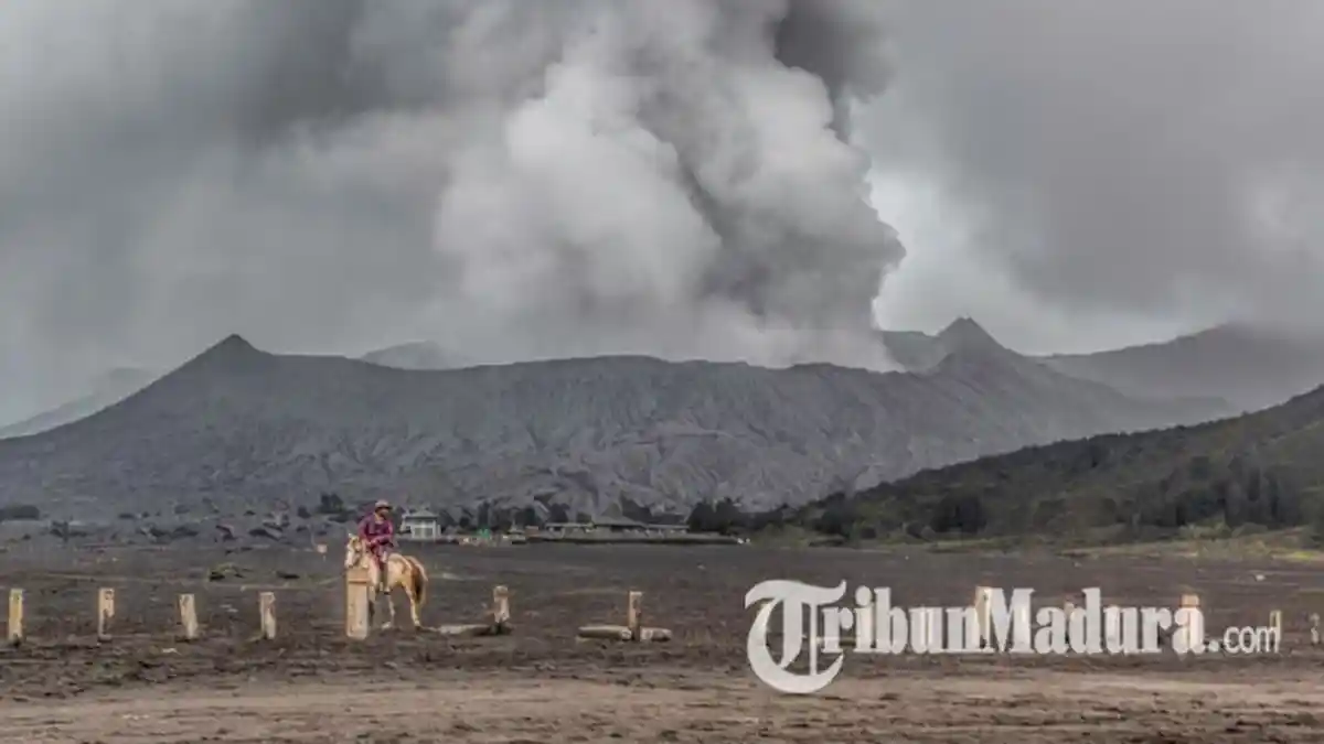 Status Gunung Bromo Statis di Level II, BPBD Jatim Sebut Tak Perlu Ada Evakuasi Penduduk
