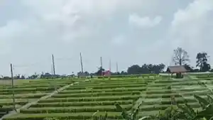 Jogging-Track-Subak-Anggabaya-888.jpg