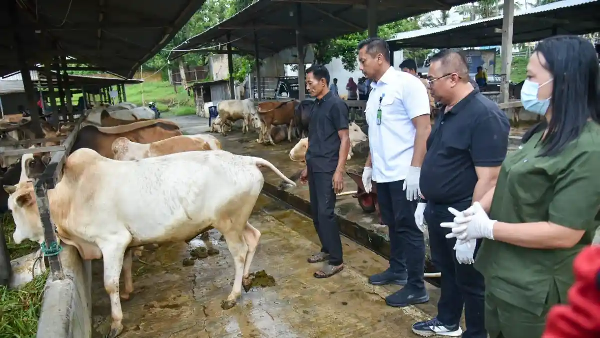 Hukum Pinjam Uang Beli Hewan Kurban, Apakah Boleh? Begini Kata Ustaz Adi Hidayat
