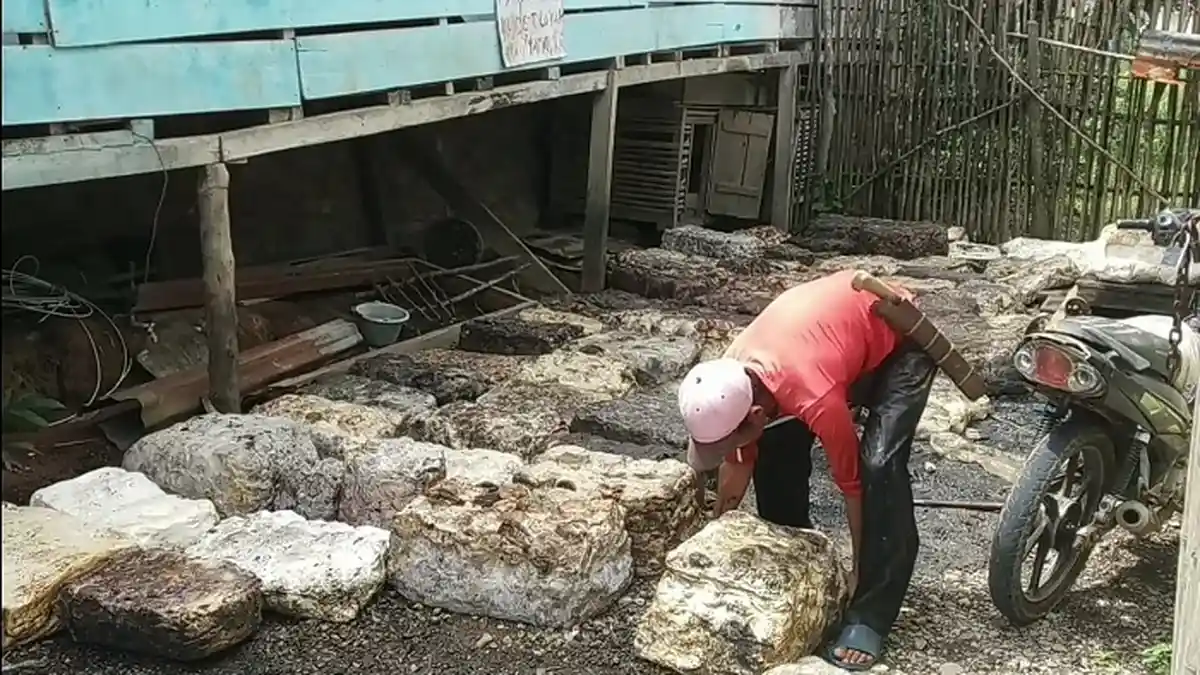 Pertengahan Bulan Puasa, Harga Jual Karet Harian di Empat Lawang Turun Lagi