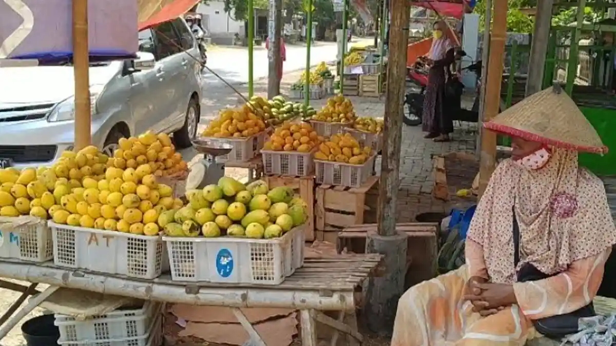 Mulai Panen, Lapak Pedagang Buah Mangga di Kediri Mulai Menjamur