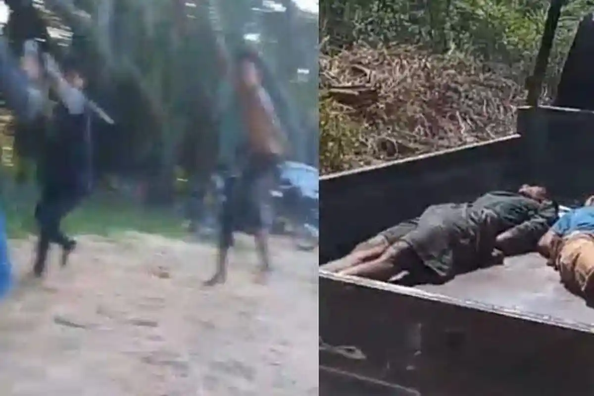 Awal Mula Tewasnya SAD di Tebo Jambi Usai Berseteru dengan Security PT Sawit, Dipicu Brondolan Sawit