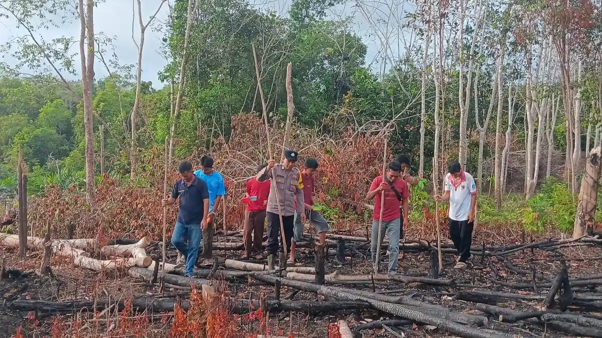 Polsek Simpang Teritip Gotong Royong Tanam Jagung Pipil