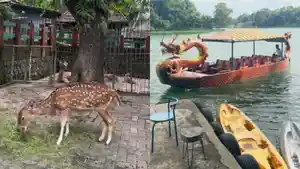 Jembangan-Wisata-Alam-ada-di-Kebumen-Jawa-Tengah.jpg