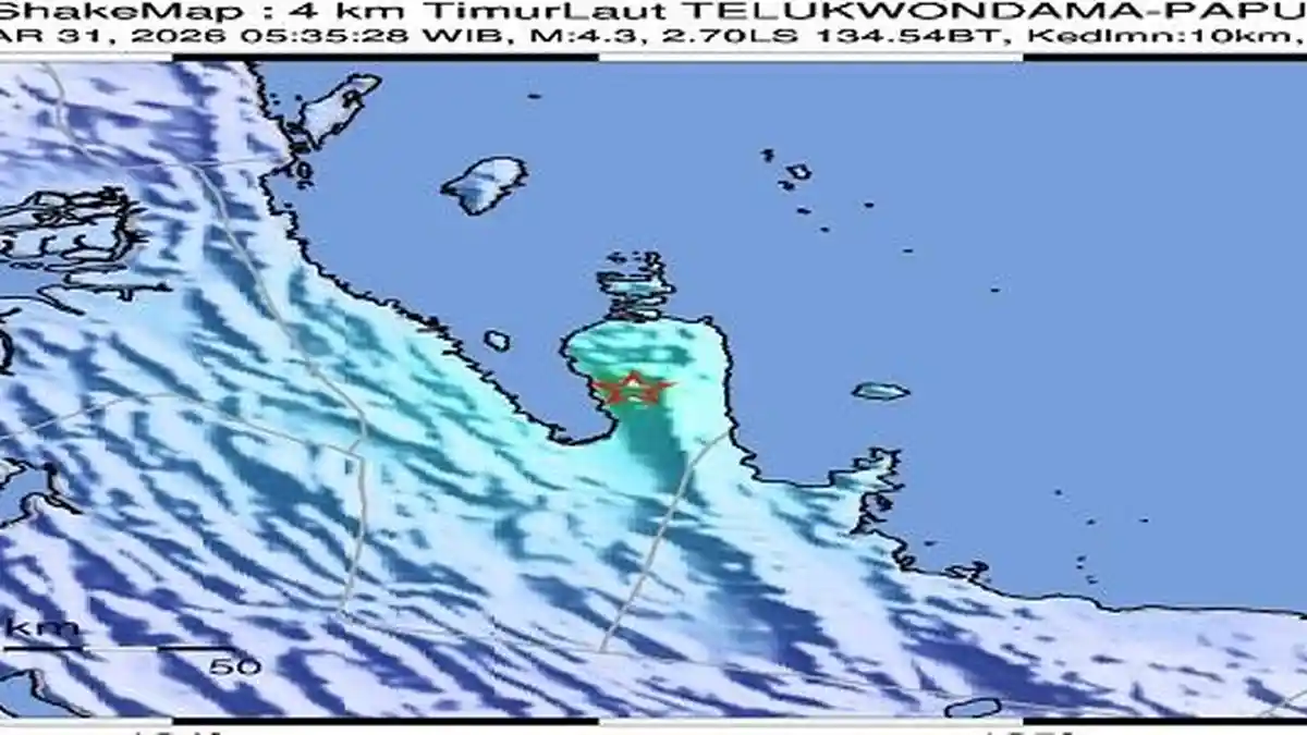 Gempa Tektonik Teluk Wondama M 4,4 Pagi Ini Akibat Sesar Aktif