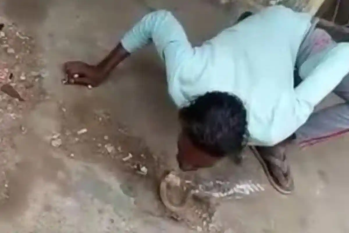 Ini Video Detik-detik Ular Kobra Patuk Bibir Pawang yang akan Menciumnya, Begini Kondisinya