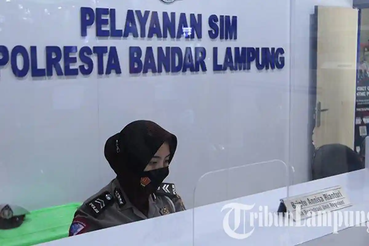 Bikin SIM B2 Online dan Syaratnya Melalui sim.korlantas.polri.go.id