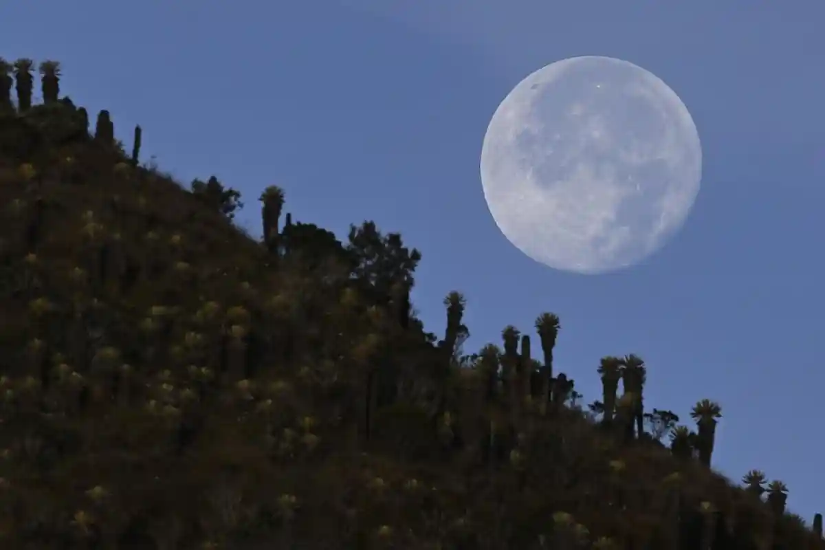 Idul Adha Berapa Hari Lagi ? Cek Hitung Mundur Kapan Tanggal 1 Dzulhijjah untuk Lebaran Haji 2023