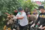 Bupati Tanggamus dan Wakilnya Dijadwalkan Salat Id di Masjid Agung Nurul Faidzin