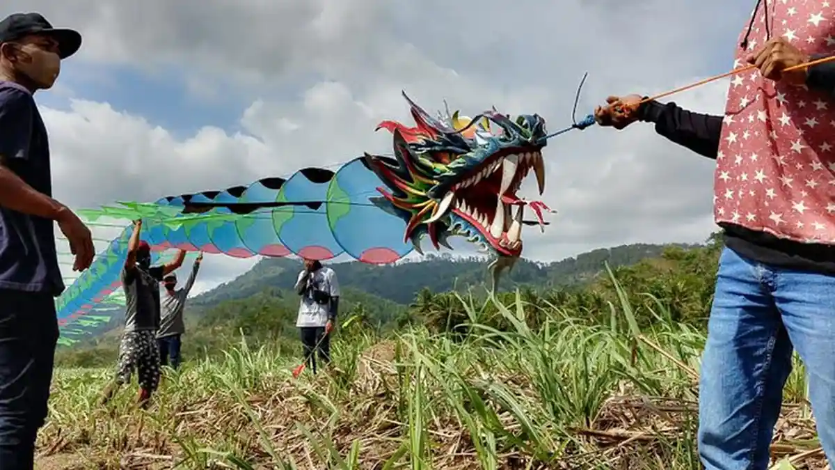 Layang-layang Aneka Rupa Berkibar di Tengah Sawah Trenggalek