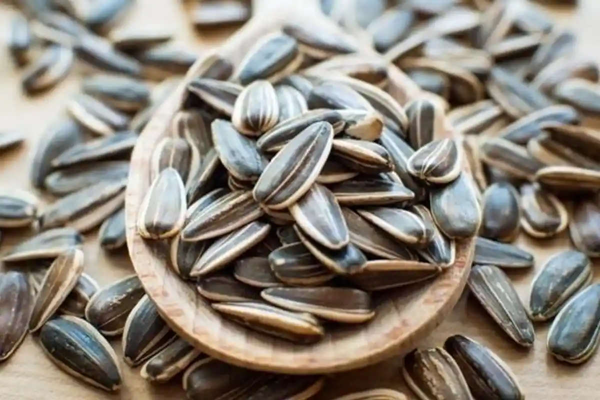 2 Oknum Guru Dilaporkan Usai Hukum 7 Murid SD Makan Kuaci Beserta Kulit di Lantai Posisi Jongkok