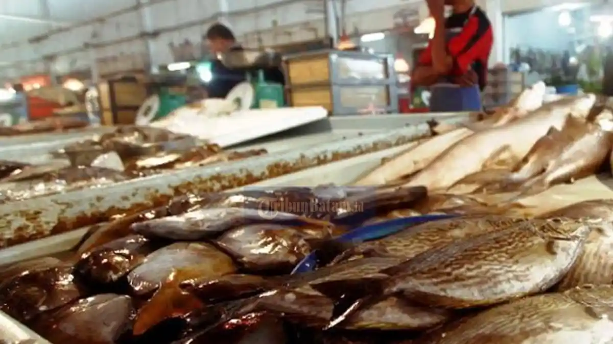 Ikan Dingkis Paling Dicari Jelang Imlek, Ekspor ke Singapura Capai 7 Ton per Hari