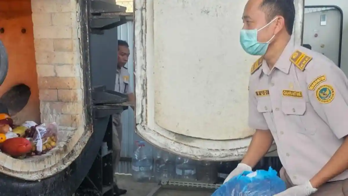 BKHIT DIY Musnahkan Tanaman Hingga Daging Hewan Asal Luar Negeri Demi Cegah Penyebaran Penyakit