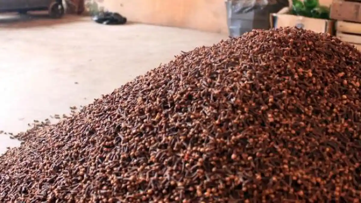 Cara Membuat Wedang Jahe dengan Cengkeh, Bisa Atasi Asam Lambung Naik