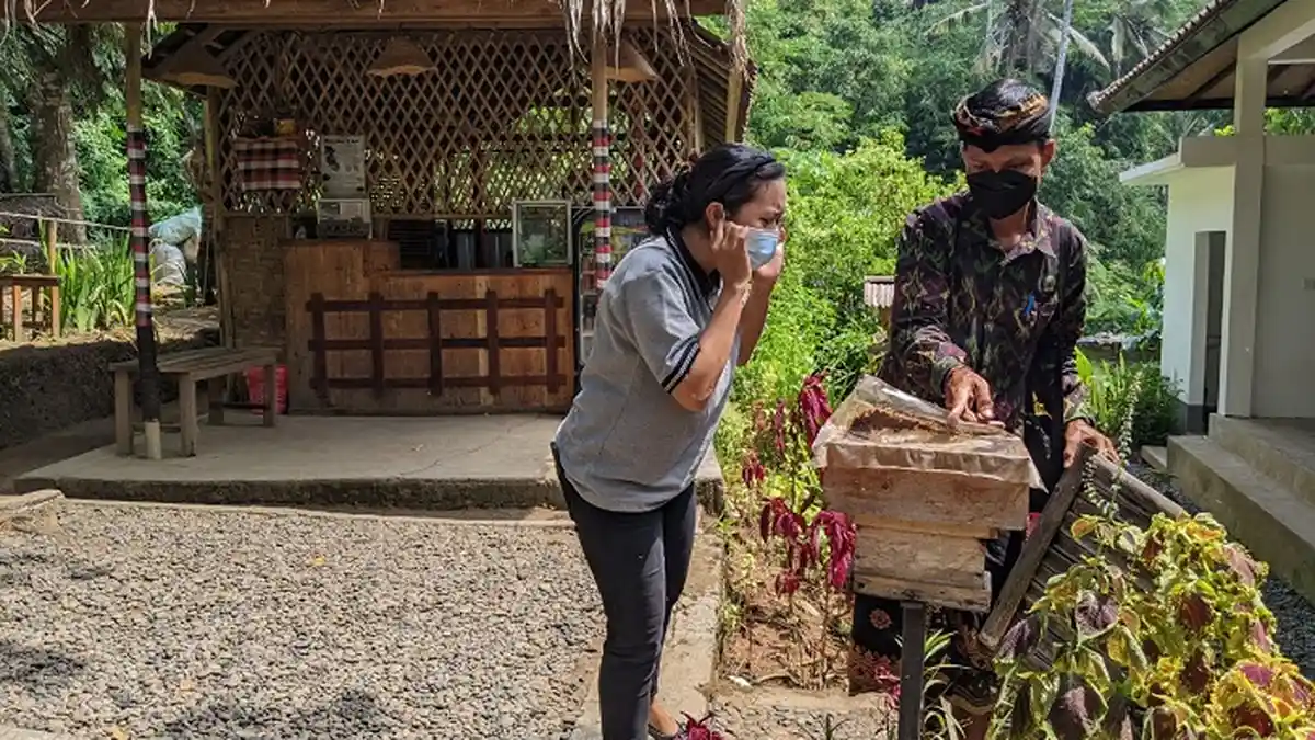 Libur Lebaran 2022, Desa Wisata Aan Tawarkan Wisata Lebah Kele