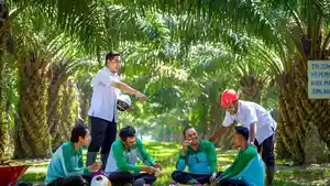 T-Perkebunan-Nusantara-IV-PalmCo.jpg