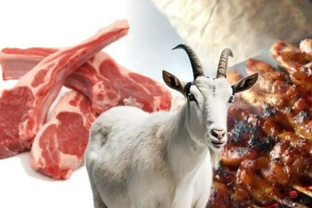 Benarkah Kambing Lebih Berbahaya dari Dagingnya Dari Sapi? Ini Penjelasan Dokter