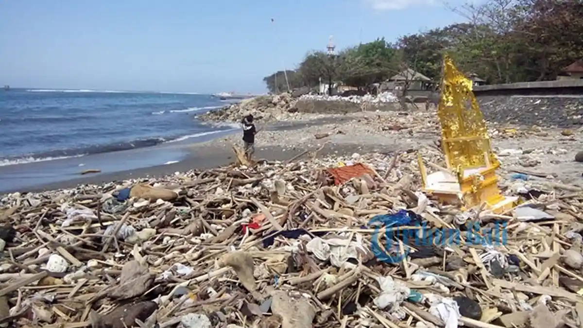 Dalam Tempo 3 Jam Kumpulkan 3 Truk Kayu, Pantai Matahari Terbit Dipenuhi Sampah