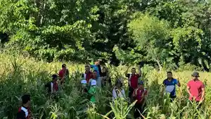 WBP-RUTAN-LEMBATA-PANEN-JAGUNG.jpg