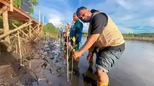 PLN-TANAM-MANGROVE-DI-LOTIM-2026.jpg