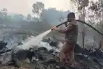 Api Mendekati Jalan Aspal dan Bau Asap Terasa, Karhutla di Pangkalan Kerinci Belum Padam