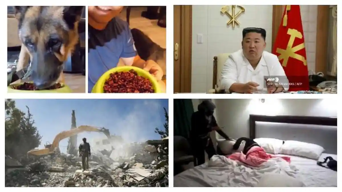 POPULER Internasional: Anjing Dipaksa Makan Makanan Pedas | Korut Kembalikan Kiriman Masker ke China