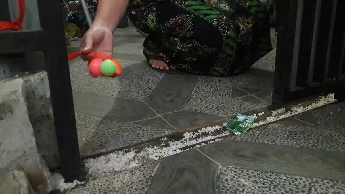 Takut Ular, Warga Bojonggede Bogor Sebar Garam dan Kamper di Sekitar Rumah, Efektifkah ?
