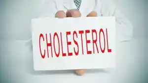 fkolesterol.jpg