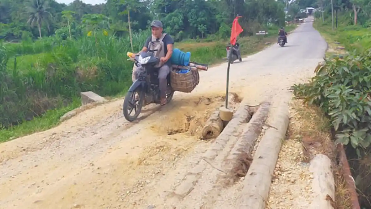 Keuchik Minta Jembatan Darurat dari Pohon Kelapa di Panton Rayeuk Diperbaiki