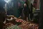 Harga-ayam-telur-ayam-ras-menurun.jpg