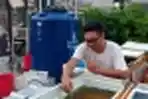 Budidaya Ikan Cupang Melonjak di Tengah Pandemi Covid-19