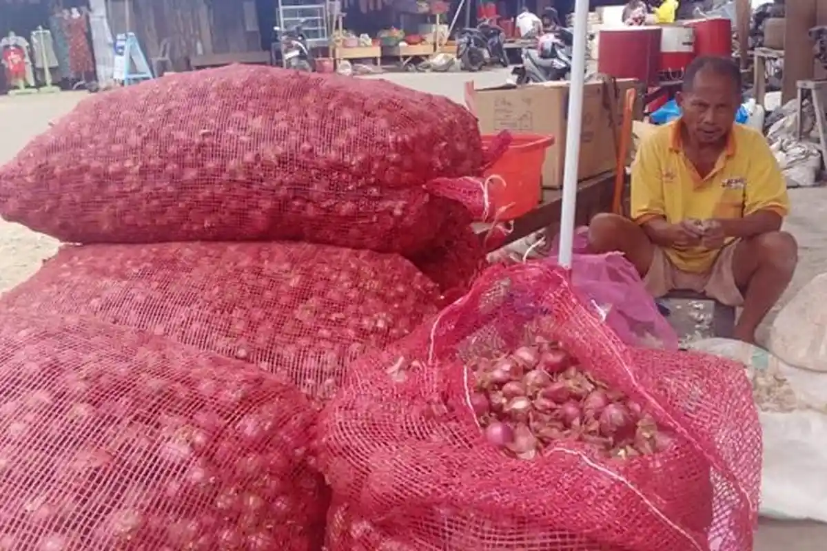 Harga Bawang Merah di Pasar Sentral Makale Naik Bertahap Hingga Tembus Rp 50 Ribu per Kilogram