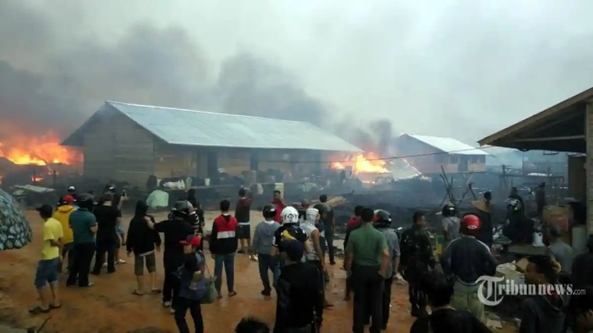 Mantan Anggota Gafatar Dipulangkan, Ini Yang Akan Dilakukan Pemkot Bogor