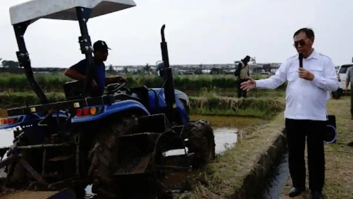 Kementan Pastikan Swasembada Beras Tercapai, Produksi Nasional Sentuh Rekor Tertinggi