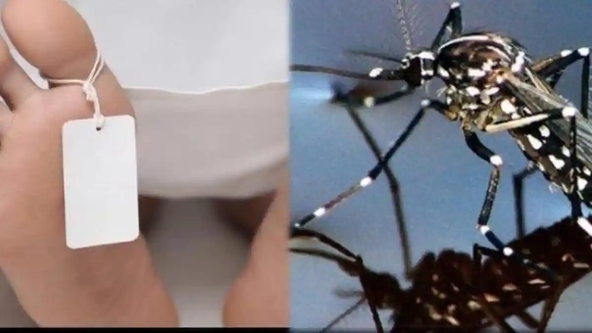 Ratusan Warga Karawang Terkena DBD Sejak Januari 2024, Dua Anak Meninggal karena Penanganan Telat