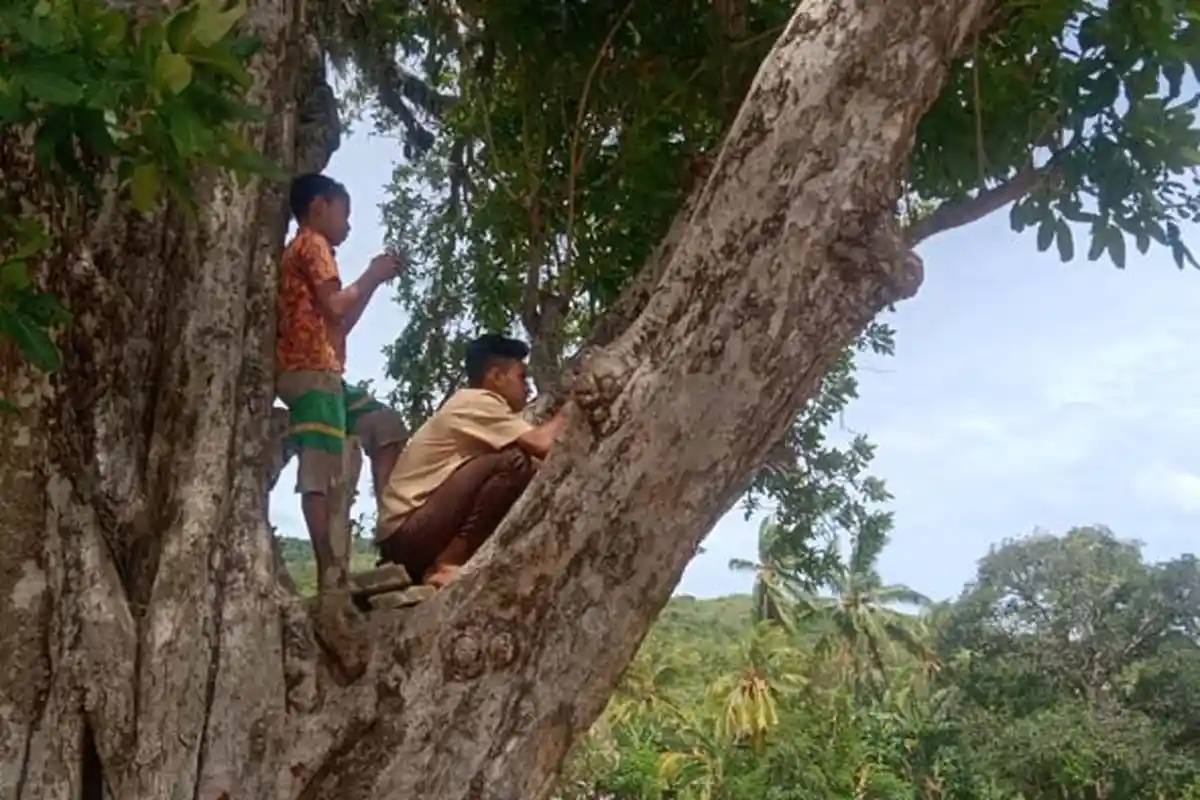 Mantan Siswa SDK Halibot Curhat Susahnya Mencari Signal Telkomsel