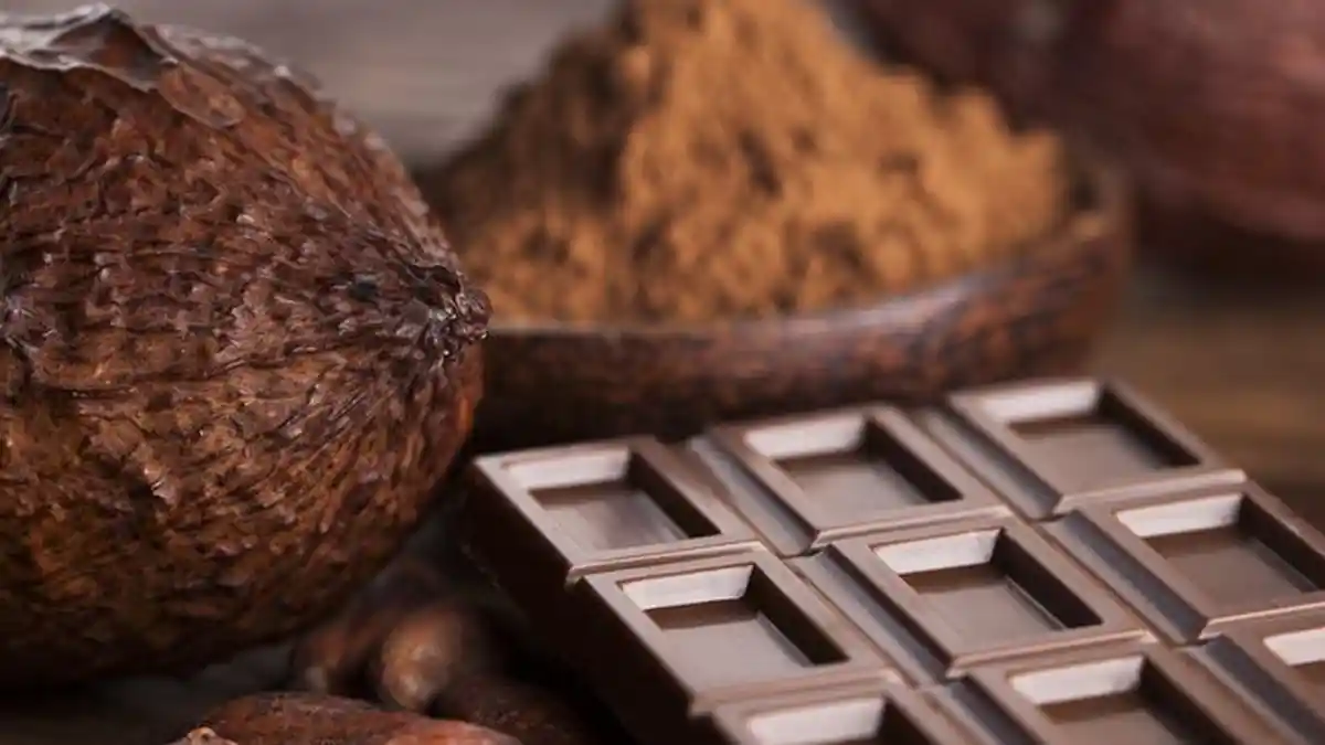 Manfaat Tersembunyi Dark Chocholate, Penambah Gairah Seksual hingga Membantu Diet