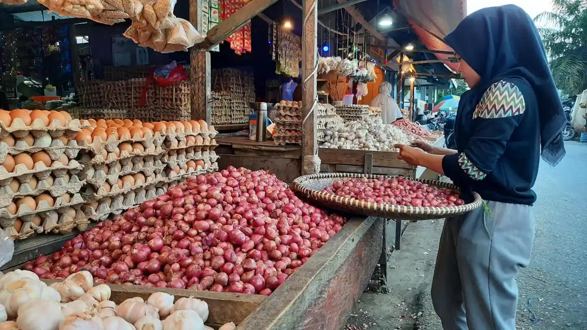 Disbunak Paser Optimis Produksi Telur di UPTD Pembibitan Ternak Capai 9 Ribu Butir Per Hari