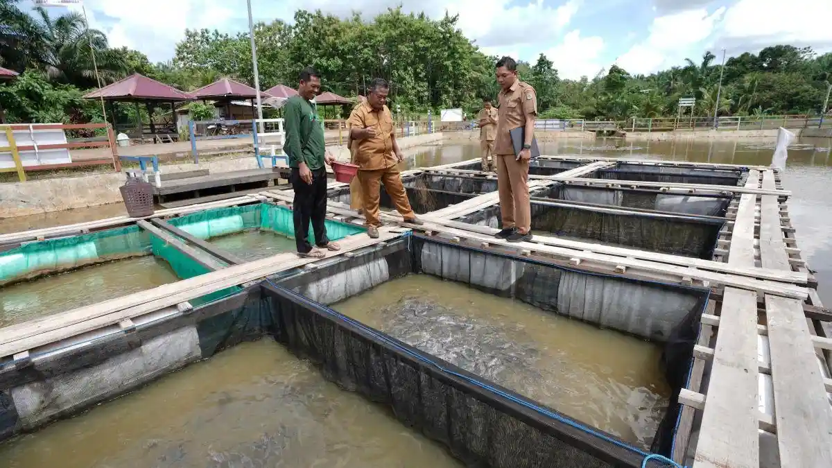 Dinas Perikanan Paser Dampingi BUMDes Optimalkan Keramba Jaring Apung