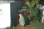 malingterekeamcctv1.jpg