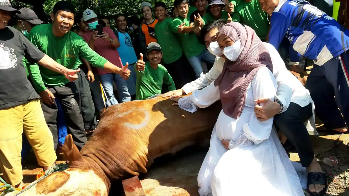 Ria Ricis Kurban 3 Ekor Sapi, Menangis Lihat Sapinya Saat Akan ...