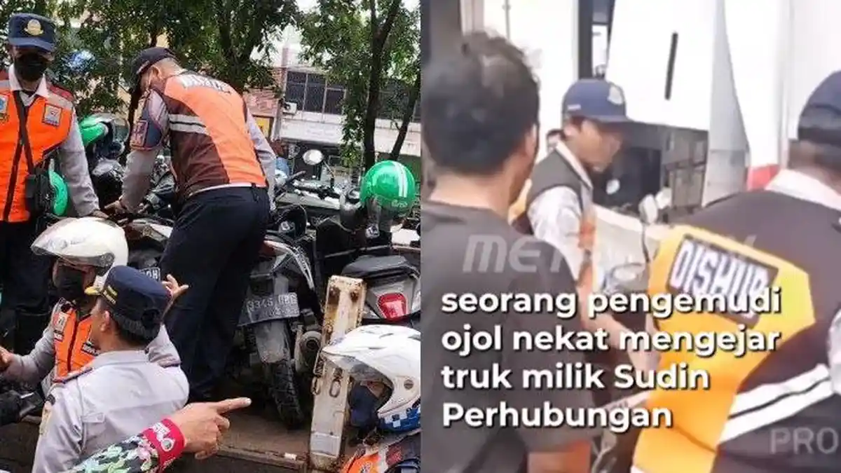 Hotman Paris Murka Lihat Aksi Motor Ojol Diangkut Imbas Kena Razia, Singgung Tilang: Apakah Tepat?