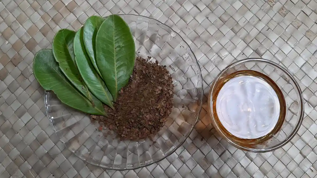Tebat Rasau Punya Teh Pelawan, Khasitnya Bisa Memperlancar Pencernaan ...
