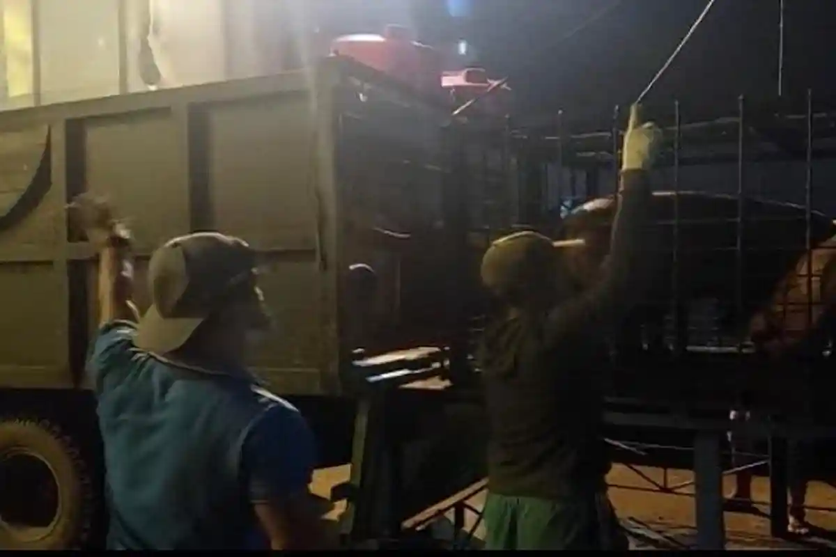 Pelabuhan Sintete Sambas Rutin Datangkan Ternak Babi, Capai 500-1000 Ekor Satu Kapal