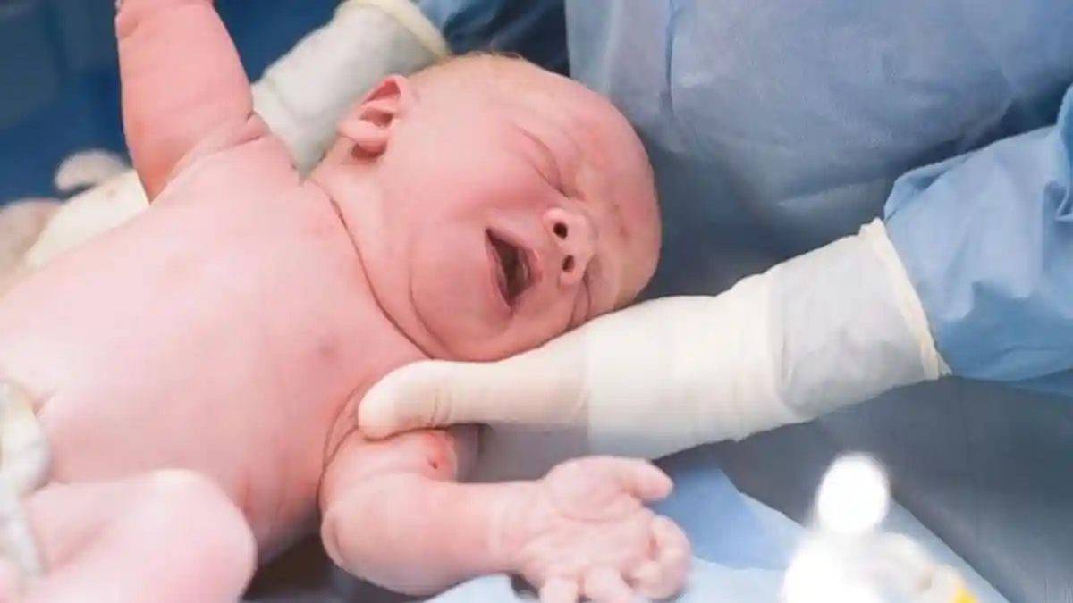 Inilah Daftar Orang yang Wajib Menunaikan Zakat Fitrah, Bayi yang Baru Lahir Juga Termasuk?